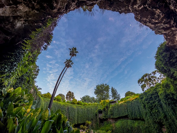 a lush greenery surrounding Umpherston Sinkhole, Mount Gambier