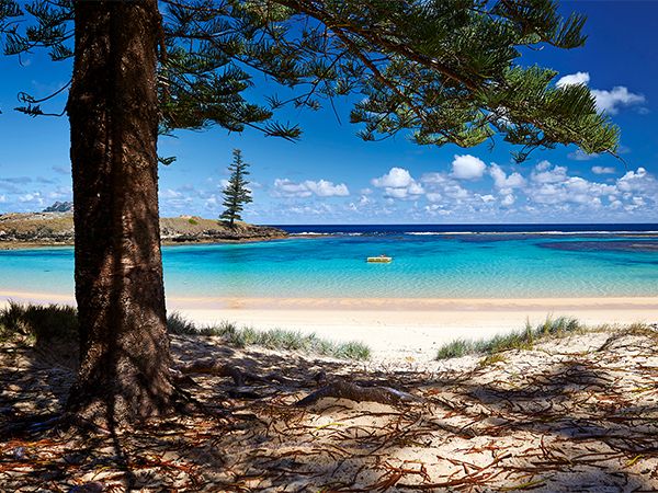 Emily Bay Norfolk Island
