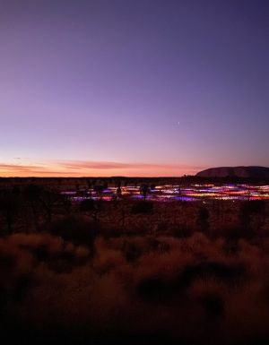 Field of Light Sunrise