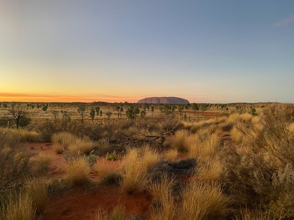 The Field of Light in daylight