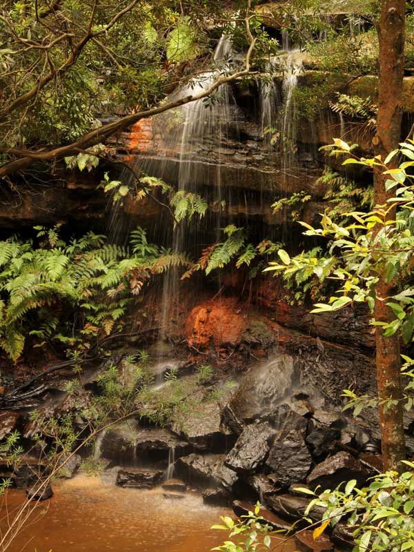 Waterfall, Girrakool Loop Track from Andamira Lookout