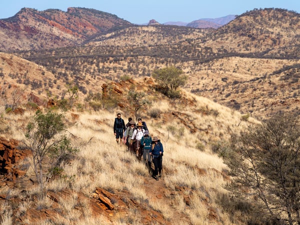 a group of hikers traversing the Larapinta Trail