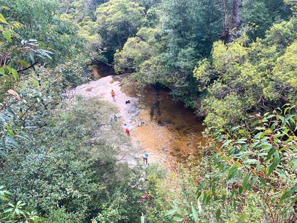 View from above Somersby Falls on the Central Coast