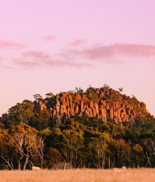 <p><i>The best day trips</i> from <strong>Melbourne</strong></p>
