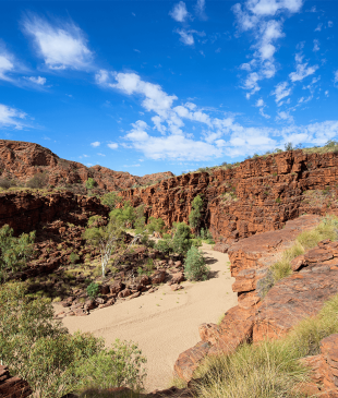 <p><i>The guide to visiting</i> <strong>Trephina Gorge Nature Park</strong></p>
