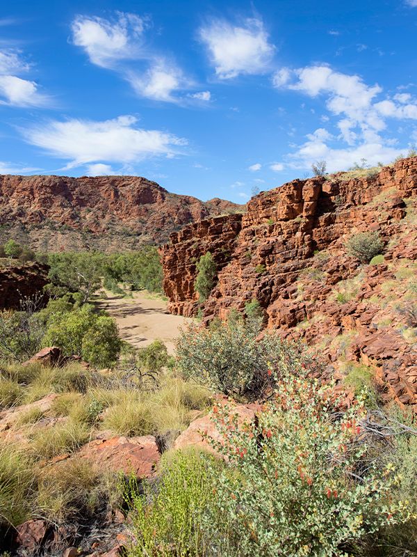Trephina Gorge Nature Park