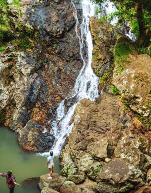 the Kondalilla Falls, Sunshine Coast