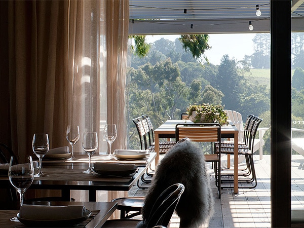 Polperro winery Mornington Peninsula