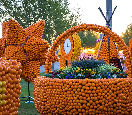 The annual citrus sculptures, Griffith