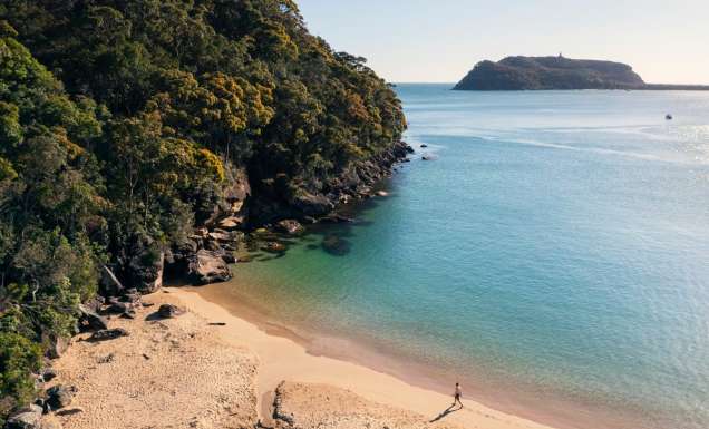 Man enjoying a morning walk along Resolute Beach in Ku-ring-gai National Park.