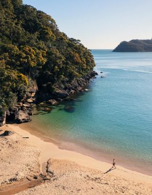 Man enjoying a morning walk along Resolute Beach in Ku-ring-gai National Park.