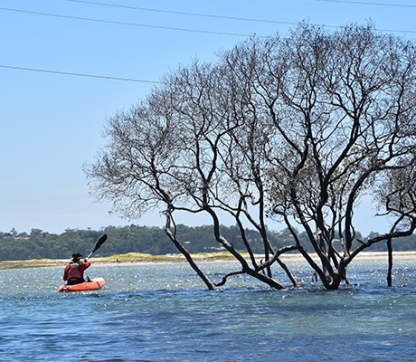 Kayaking Bundeena