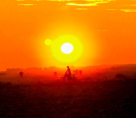 Mustering sheep at sunset, Carathool