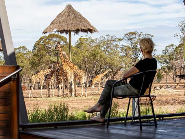 Zoofari Lodge, Dubbo