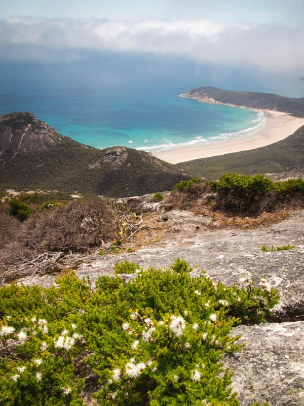 Mt Oberon Wilsons Prom