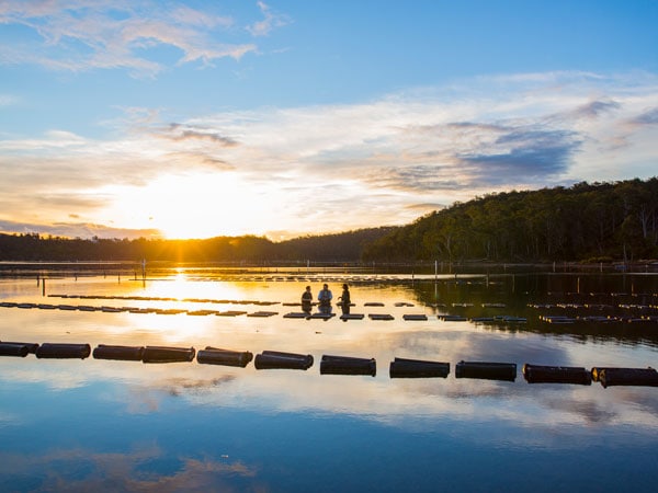 Captain Sponge's Magical Oyster Tour Pambula River