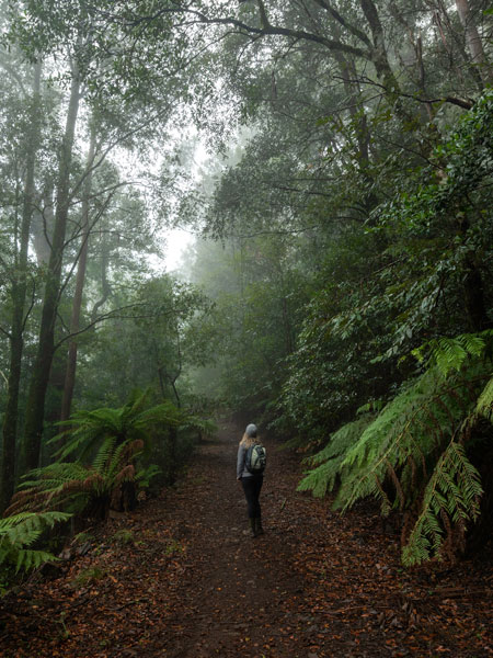 Corker Trail Barrington Coast