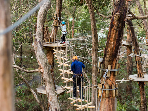 a man conquering the adventure course at Enchanted Adventure