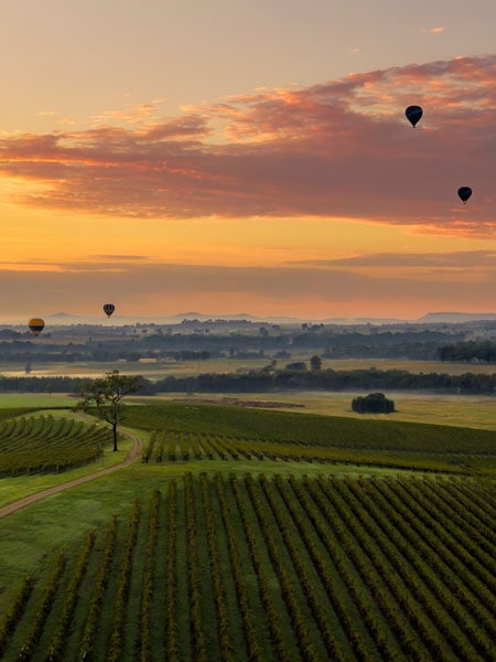 the Hunter Valley wine region 