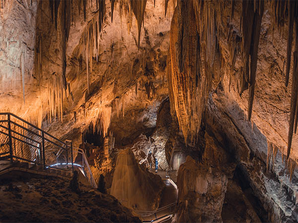 Newdegate Cave, Hastings Caves and Thermal Springs 