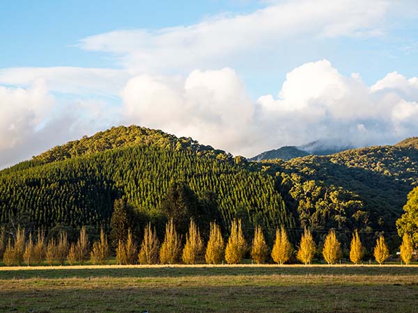 View from the kilnhouses Victoria