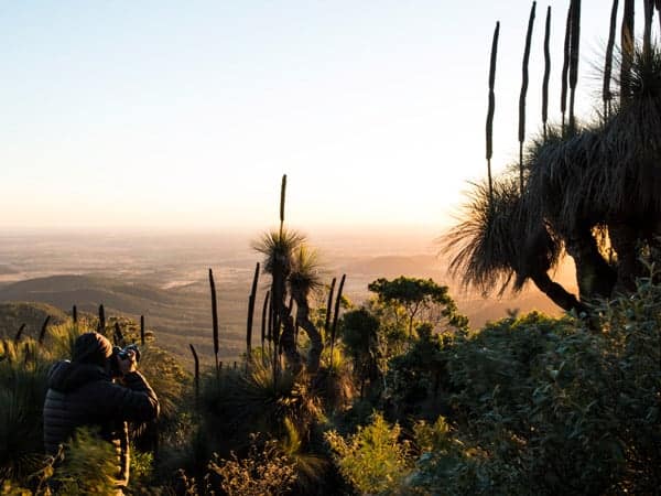 Bunya Mountains