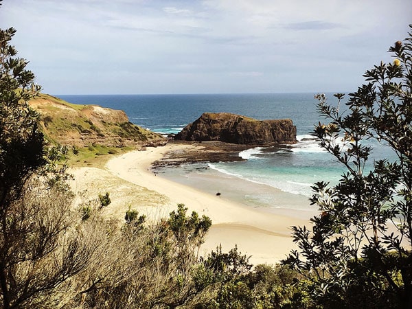 a beach near The Flinders Nuthouse in Mornington Peninsula