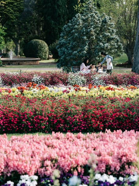 Toowoomba Carnival of Flowers.