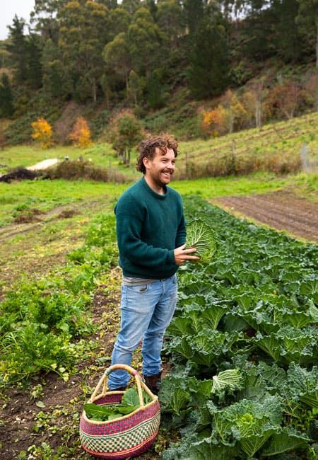 Fresh fare from the Summertown Aristologist in Adelaide Hills