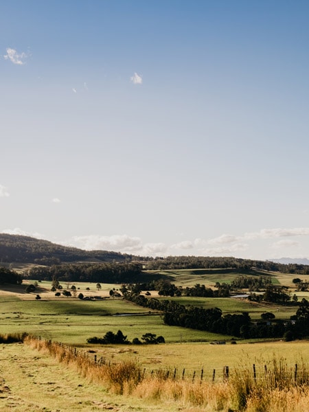 Cedar Cottage Meander scenery