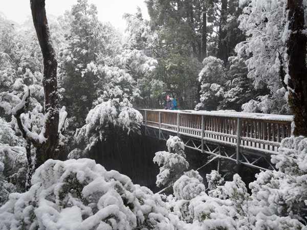 The snow-covered Enchanted Walk. (Image: Paul Fleming)