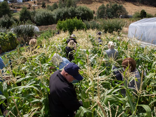 Fat Pig Farm, Huon Valley 