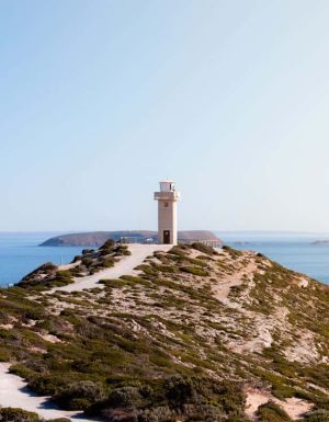 Cape Spencer