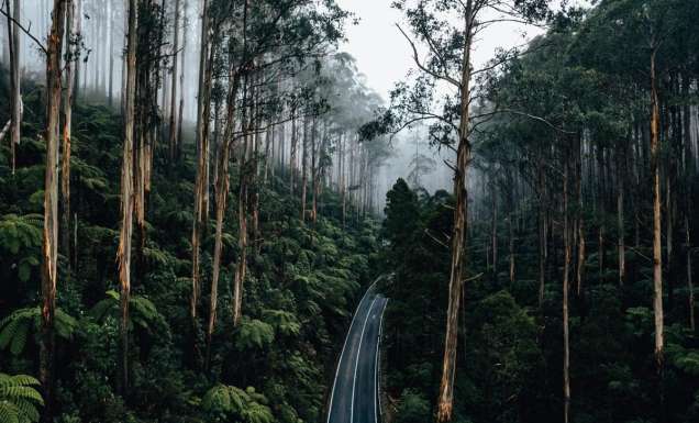 Black spur drive moody