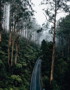Black spur drive moody