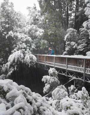 The snow-covered Enchanted Walk. (Image: Paul Fleming)