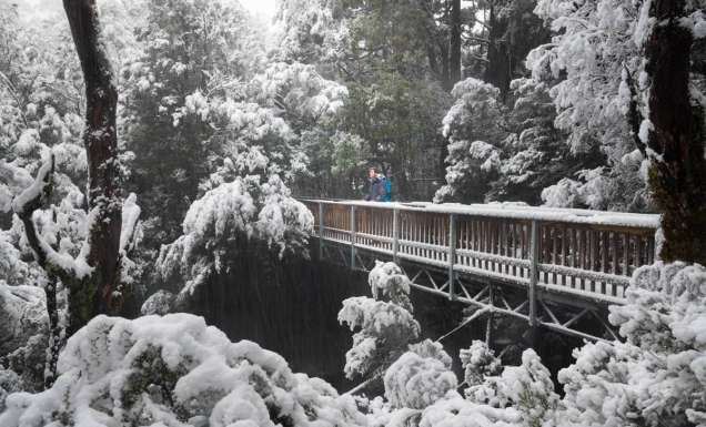 The snow-covered Enchanted Walk. (Image: Paul Fleming)
