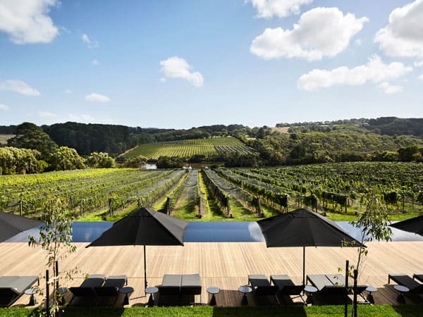 Jackalope, Merricks North