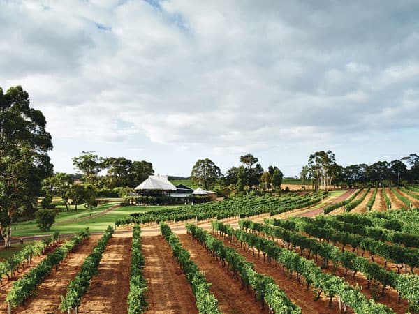 Vasse Felix, Margaret River