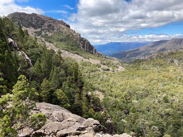 The view from Meander Falls Track