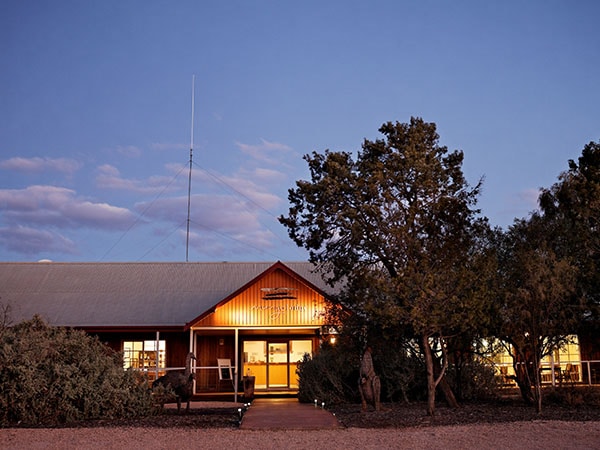 Mungo Lodge, Mungo Mungo