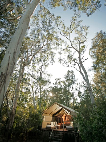 Paperbark Camp glamping retreat in Jervis Bay. 