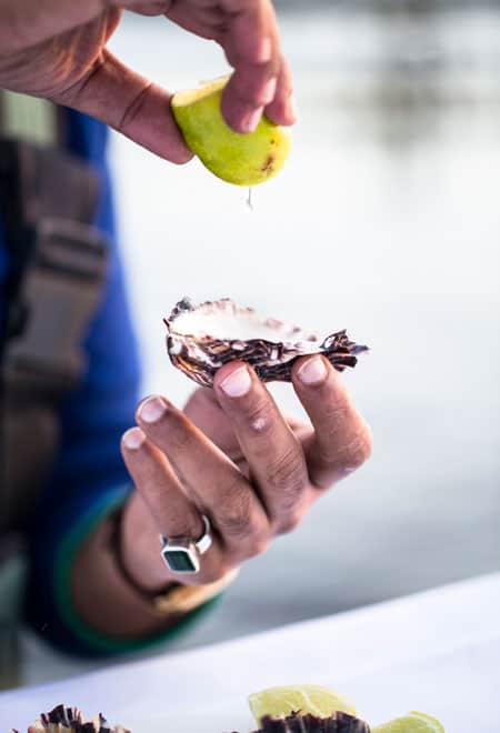 Fresh oysters at Freycinet Marine Farm. 