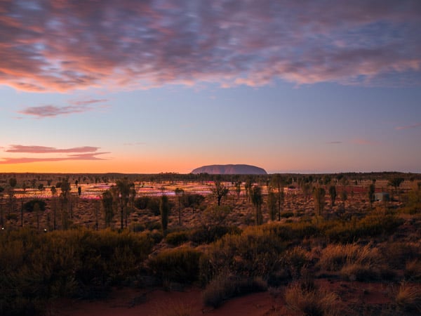 Field of Light at Uluru.