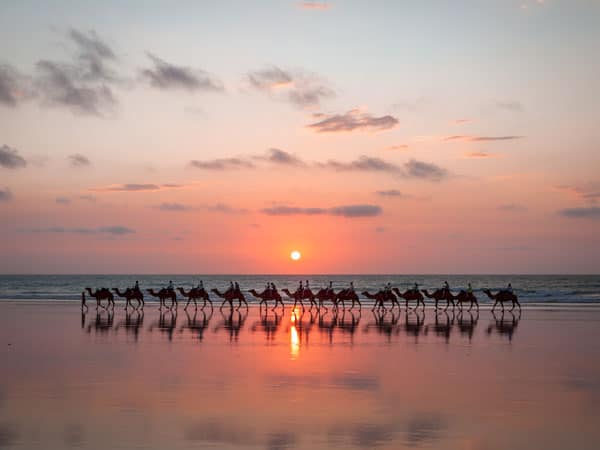 Ride the camels at sunset along Cable Beach
