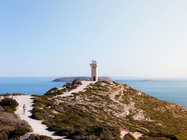 Dhilba Guuranda-Innes National Park's Cape Spencer