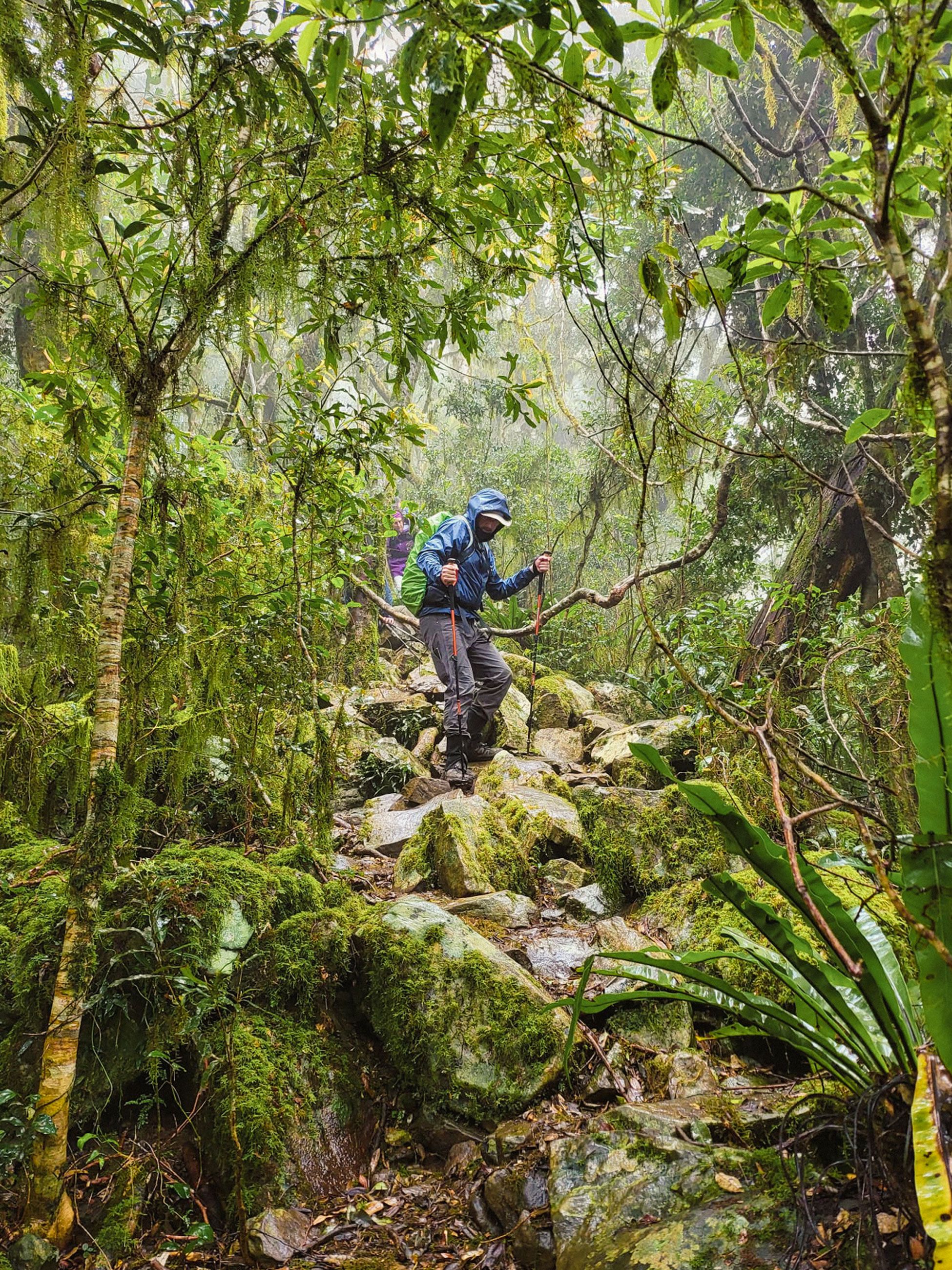 Scenic Rim Trail, QLD