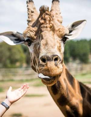 National Zoo & Aquarium, Canberra, ACT