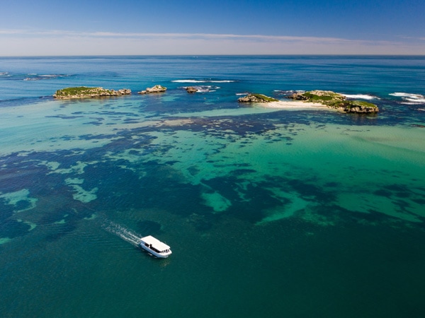 Catch the ferry to Penguin Island.