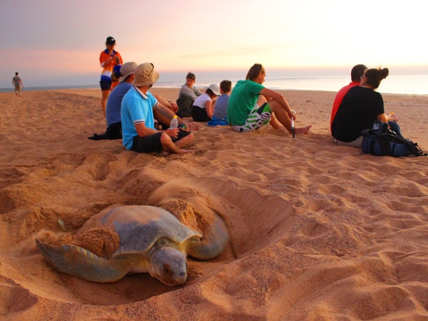 Bare Sand Island Darwin NT
